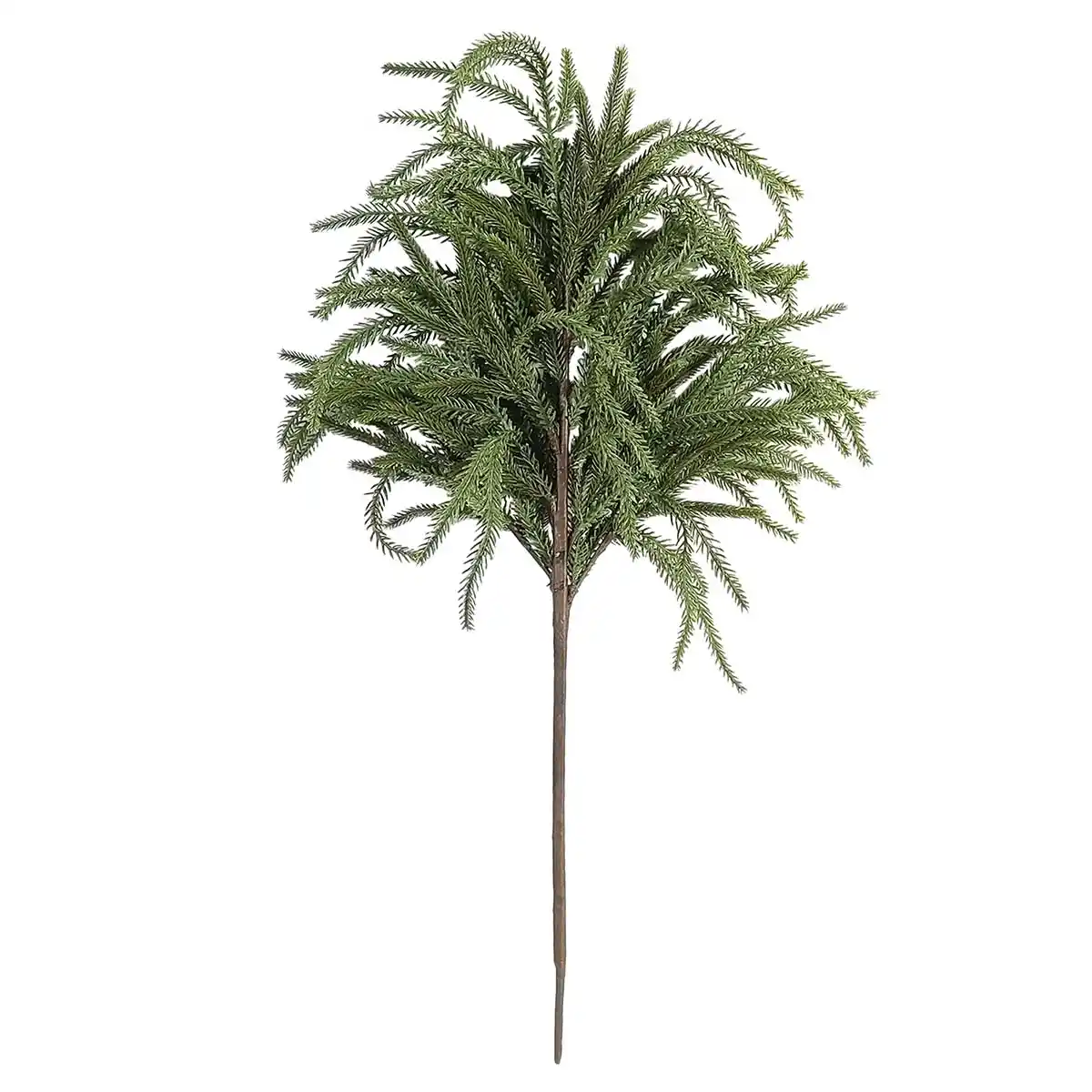 8PC 36-Inch Norfolk Pine Stems