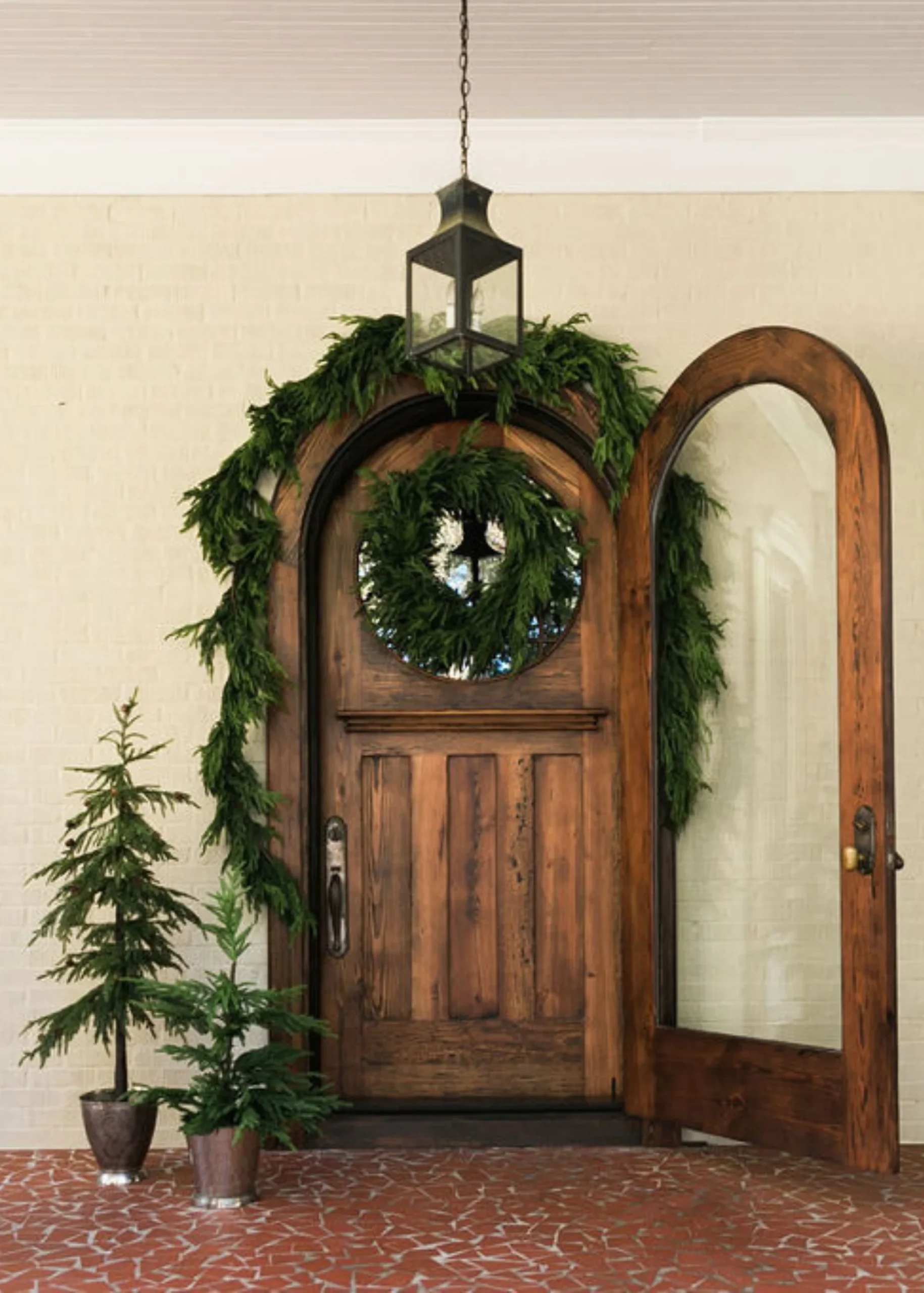 26 Inch Norfolk Pine Wreath