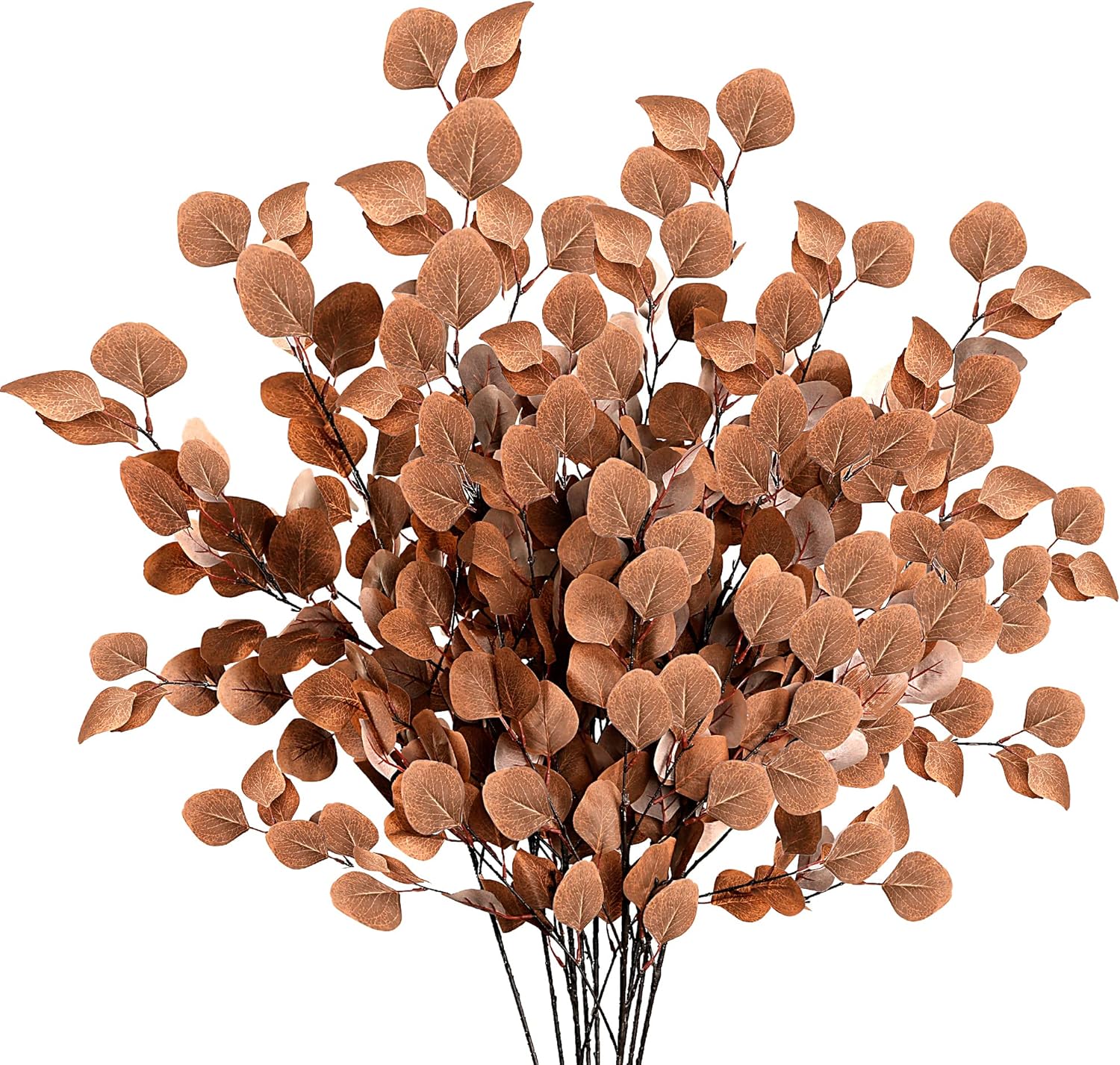Eucalyptus Stems